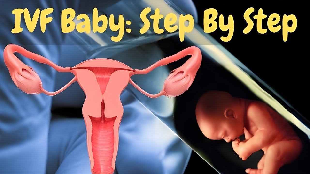 IVF Or Assisted Reproduction  Step by Step With Hindi Subtitles