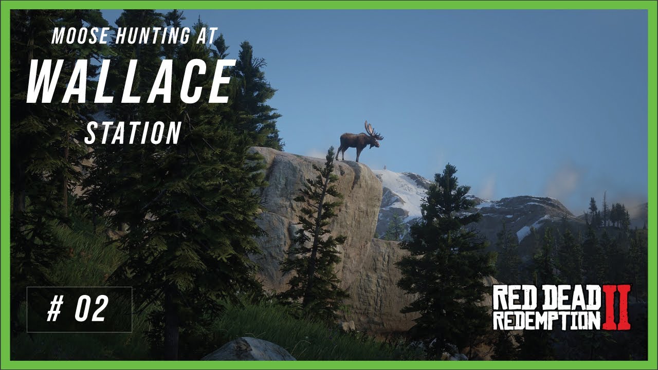 Moose Hunting at Wallace Station!