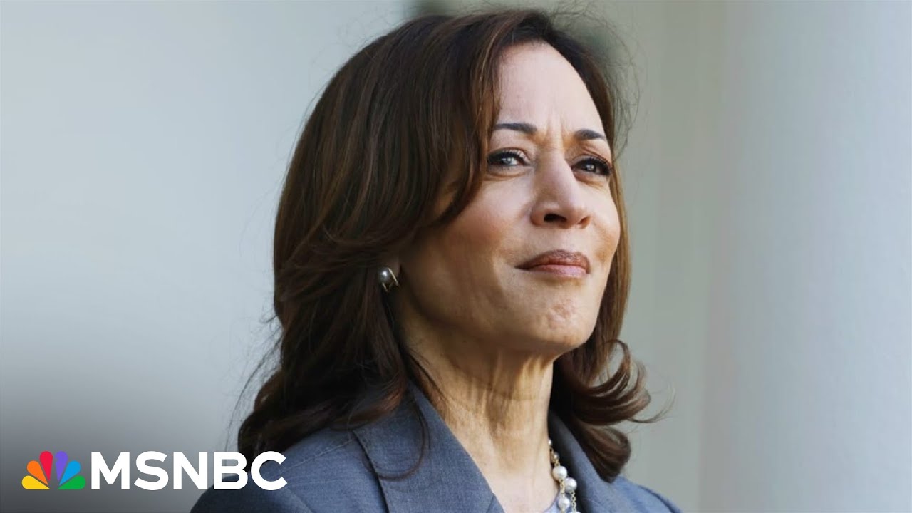 VP Harris ready to rise to top of ticket at ‘any moment’: Alcindor