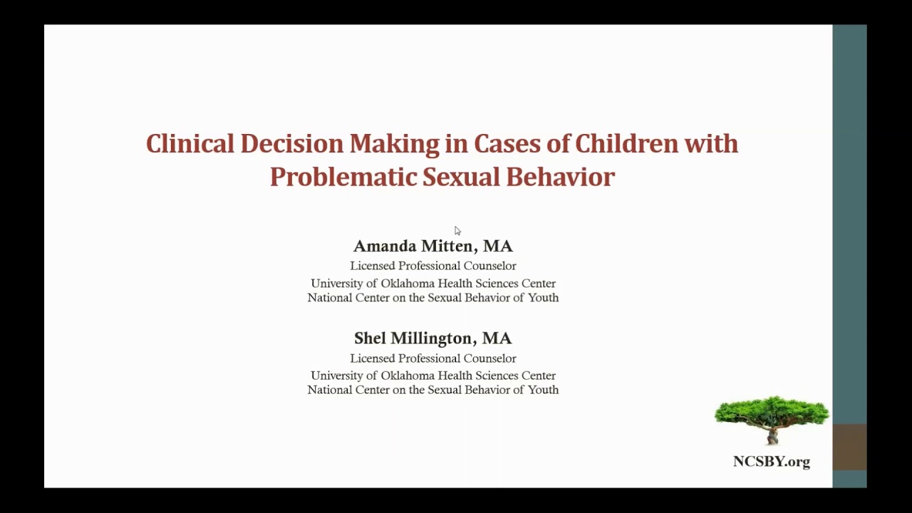 Clinical Decision Making in Cases of Children with Problematic Sexual Behavior