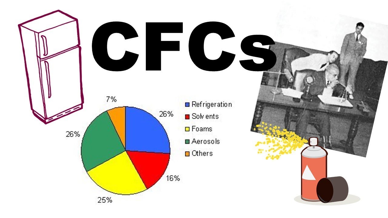 What are CFCs?