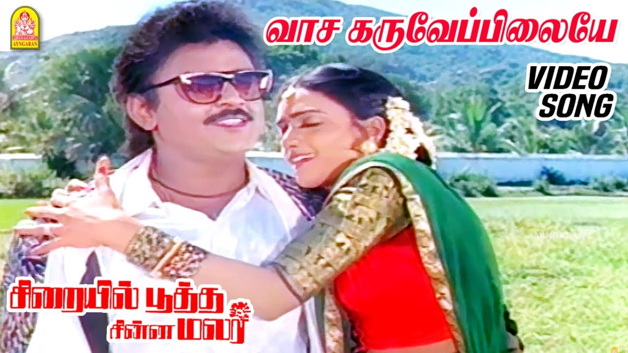 வாச கருவேப்பிலையே Vaasakaru Veppilaiye - Video Song | Sirayil Pootha Chinna Malar | Ilaiyaraaja