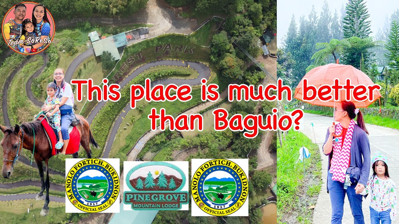 Kaamulan Park to Dahilayan Adventure Park | Malaybalay City Bukidnon | Best of Bukidnon