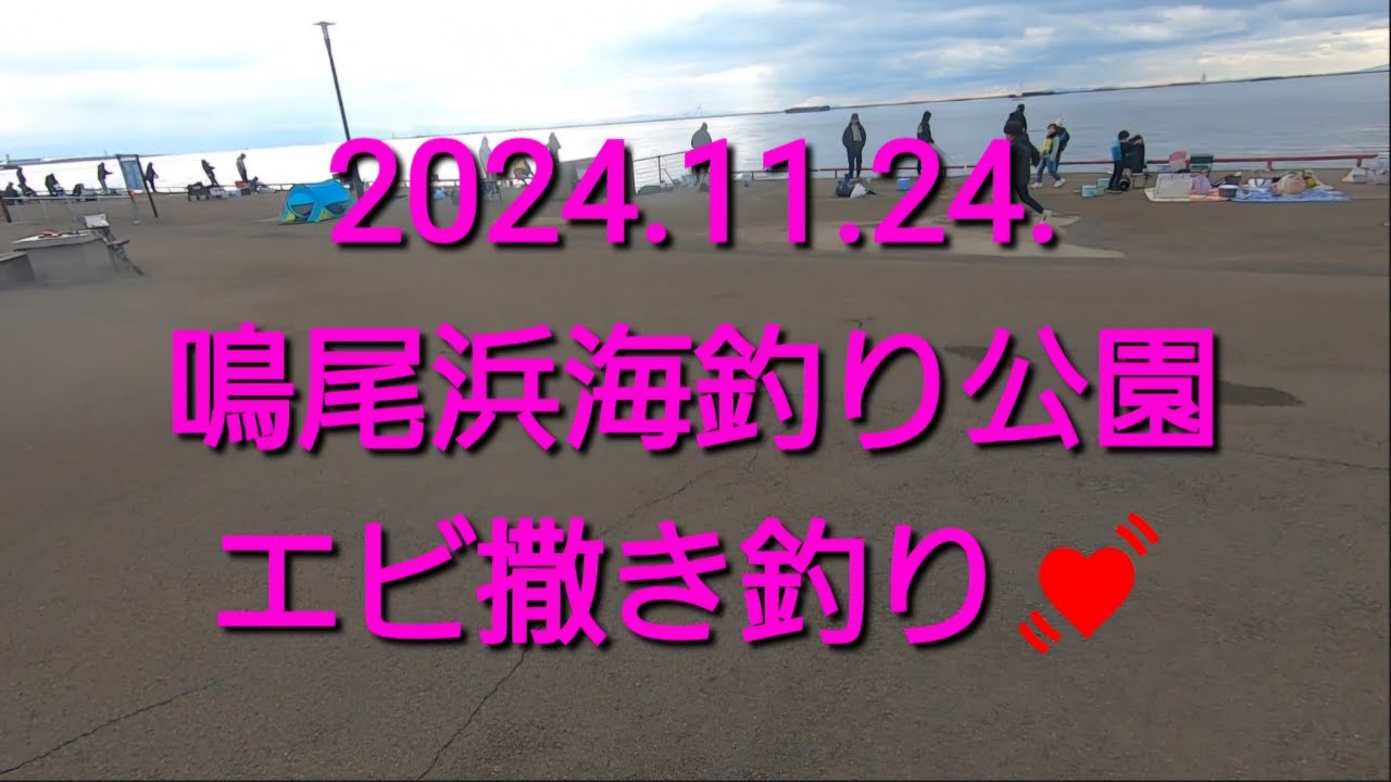 2024.11.24.　鳴尾浜海釣り公園のエビ撒き釣り