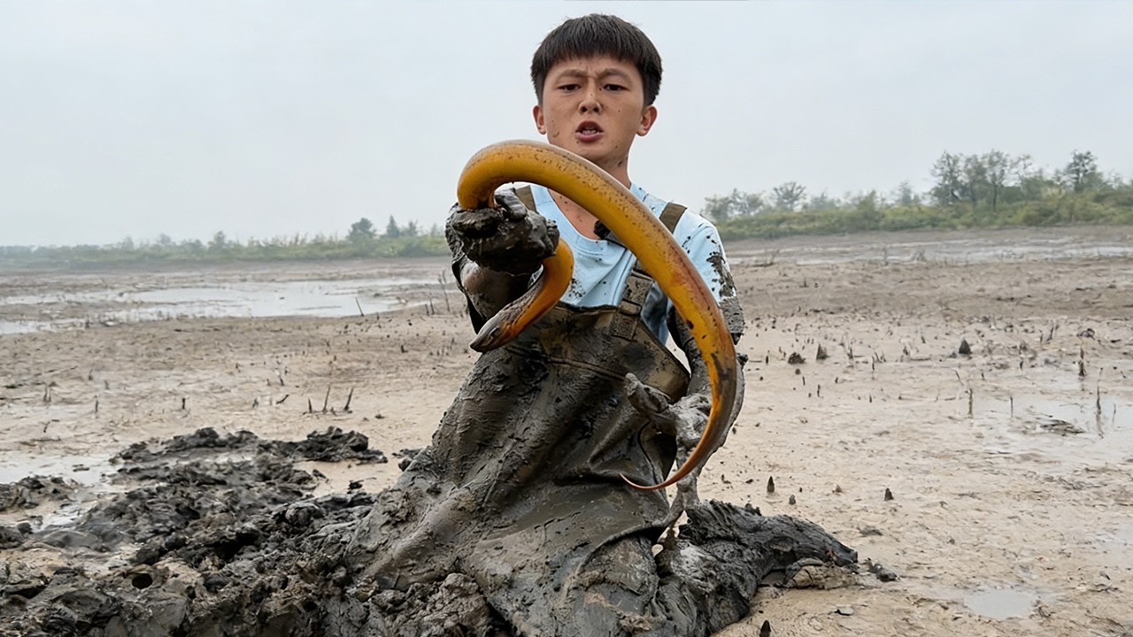 目標：兩斤多重巨鱔！今天不抓出來不罷休！#fishing #大熱門