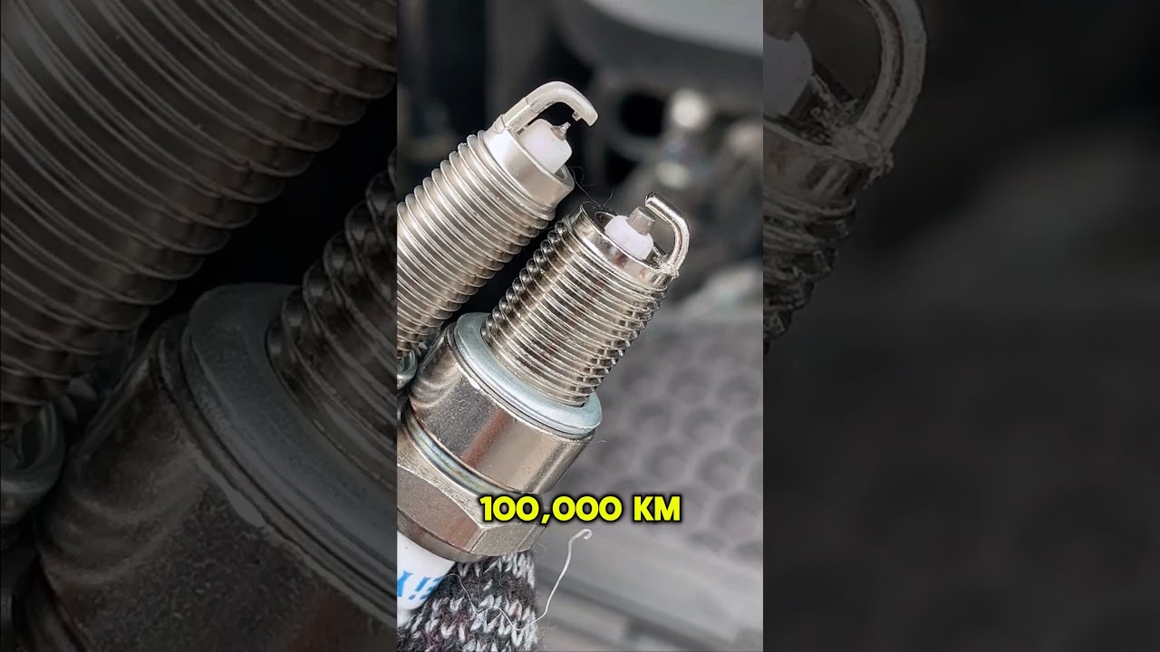 The difference between dual iridium spark plugs and platinum spark plugs #sparkplug #mechanic #auto