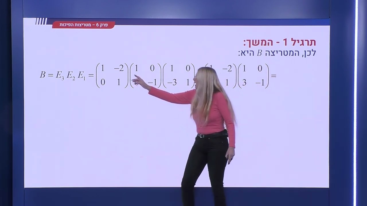221 - מטריצות אלמנטריות - תרגילים עם מטריצות אלמנטריות