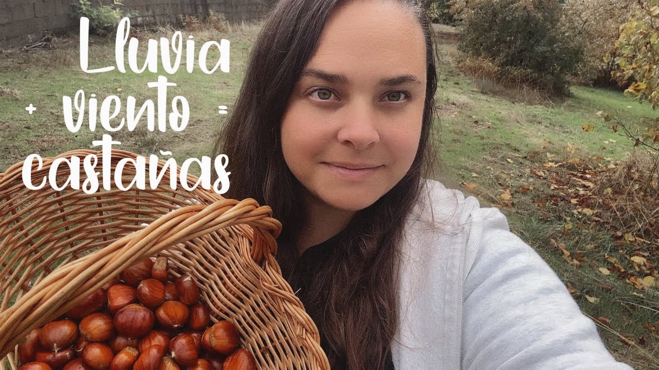 la calma tras el temporal - mi vida en el campo