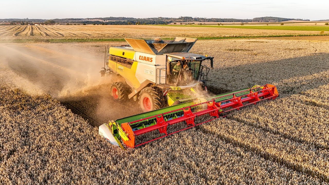 Урожай 2025 | Мы работаем на Claas Lexion 8700 | Покадровая съёмка/GoPro/вид с водителя