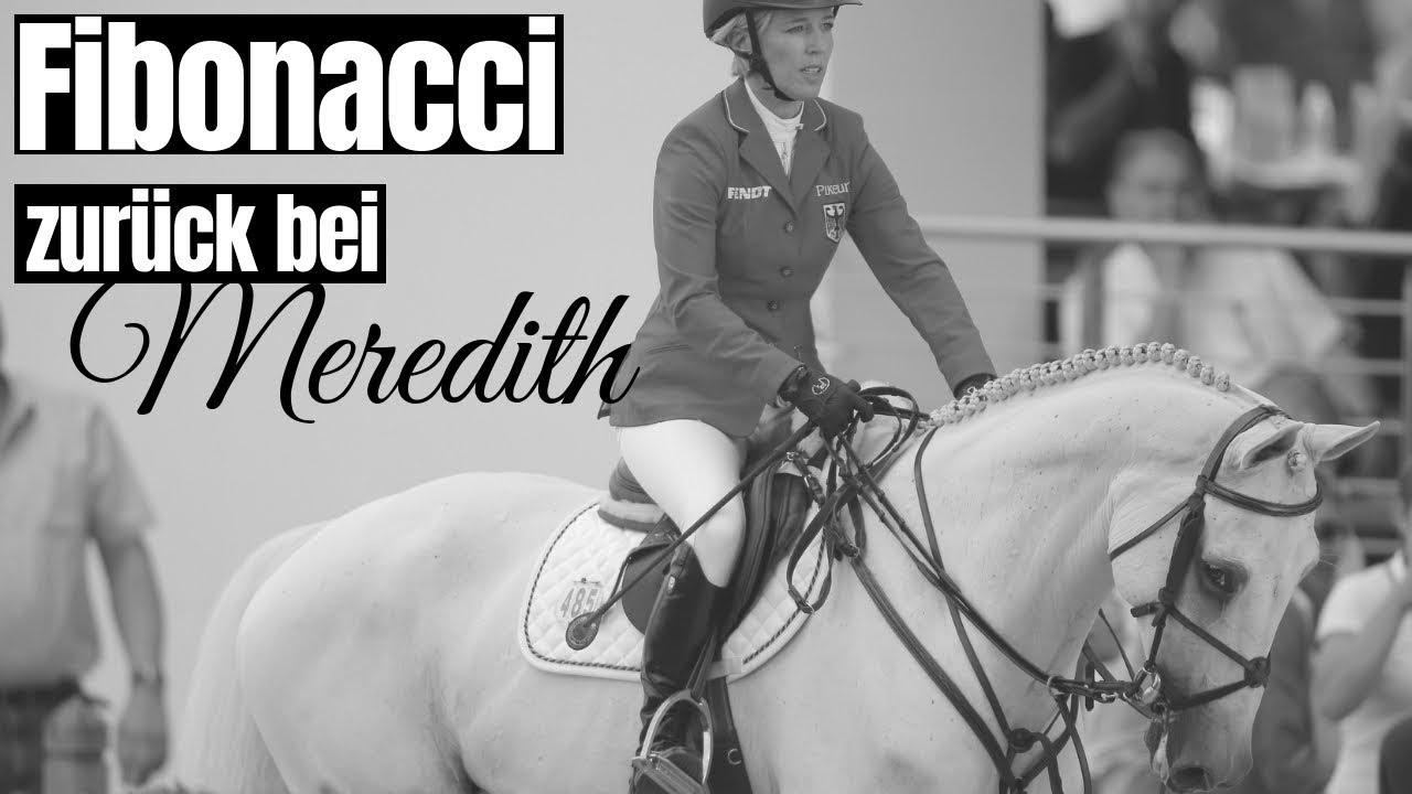 Fibonacci zur Rente zurück bei Meredith | Ein Ausnahmepferd! | CHIO Aachen