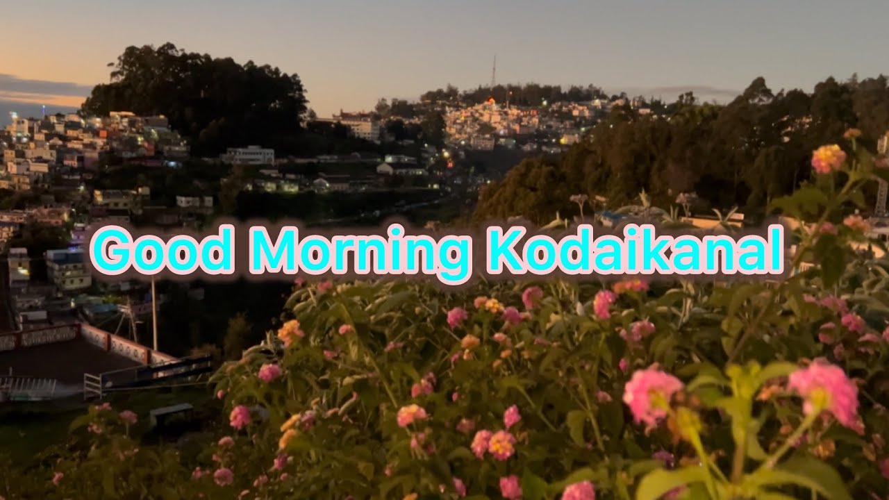 How Kodaikanal looks at Morning | How Sun Rises on Kodaikanal hills | Kodaikanal | Birds #sunrise 