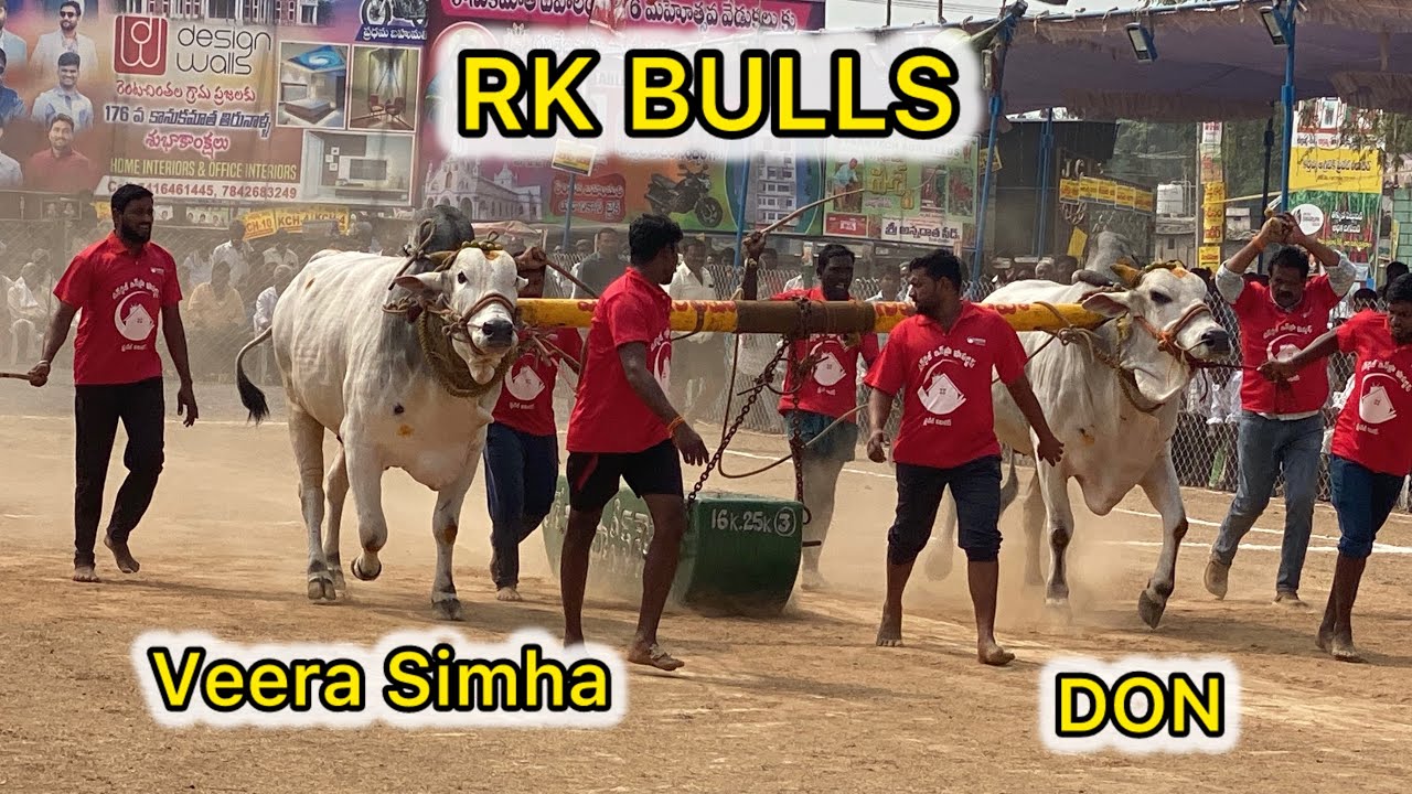 రెంటచింతల గ్రామం సబ్ జూనియర్ విభాగం 💥 3వ జత 💥RK BULLS💥DON💥