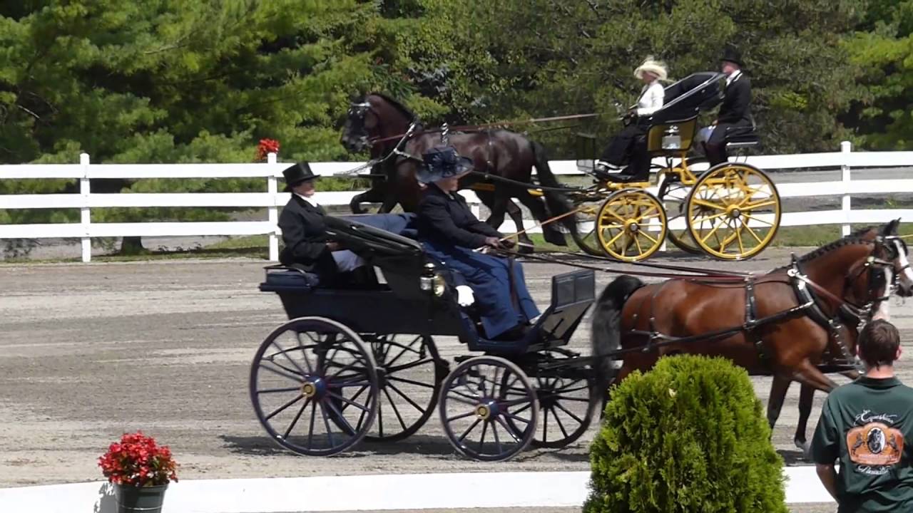 Walnut Hill Carriage Driving Competition 2016 - Bonneted Phaeton Class