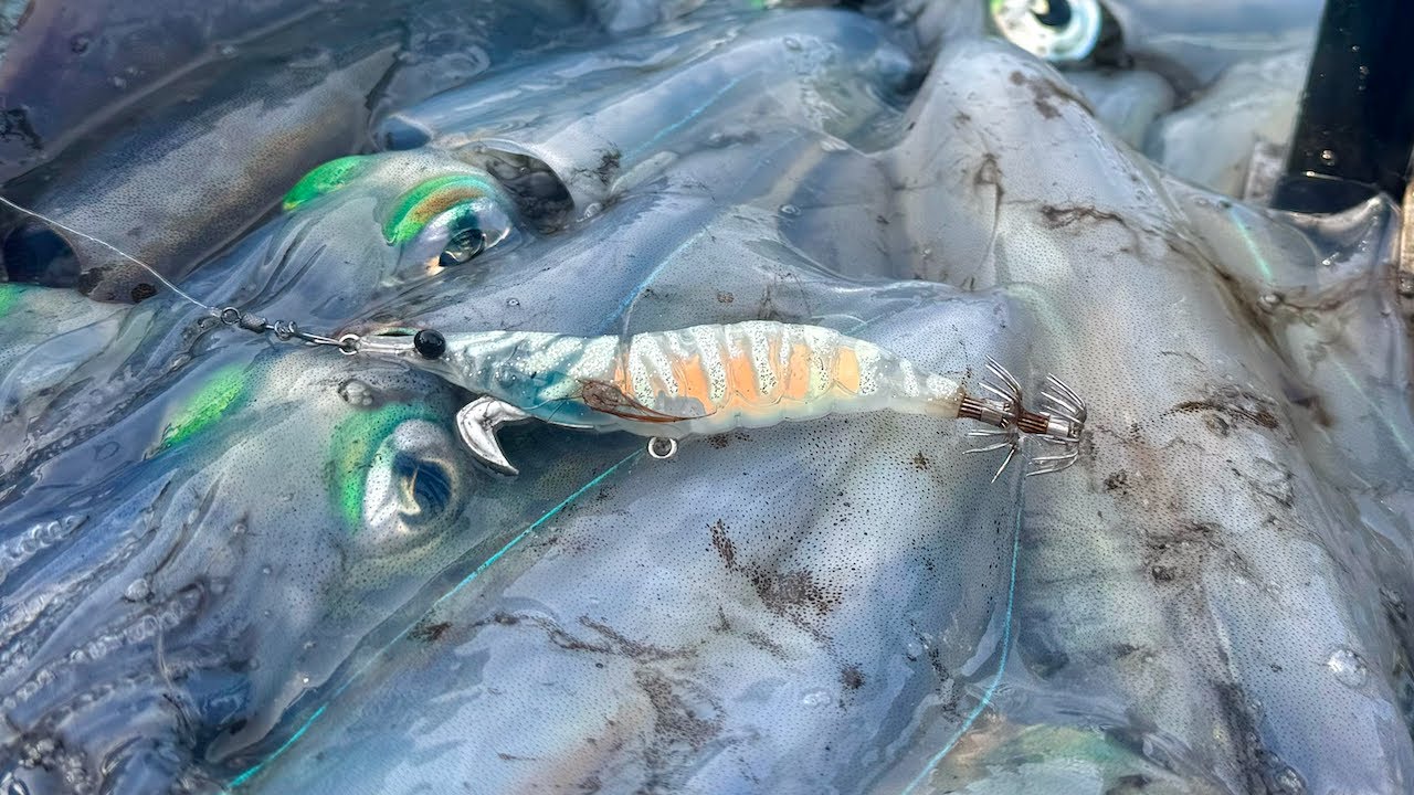 SQUID EVERYWHERE in SUPER CLEAR CONDITIONS!!! -EP 41-