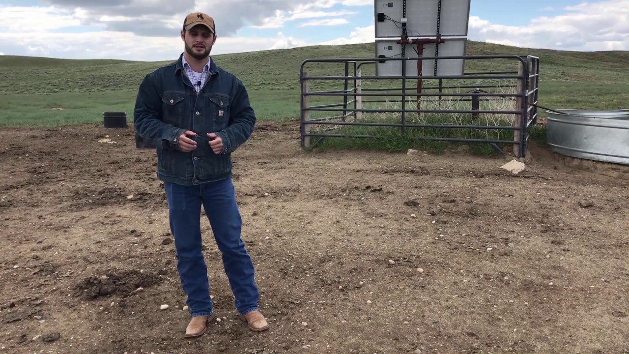 Harvest Efficiency