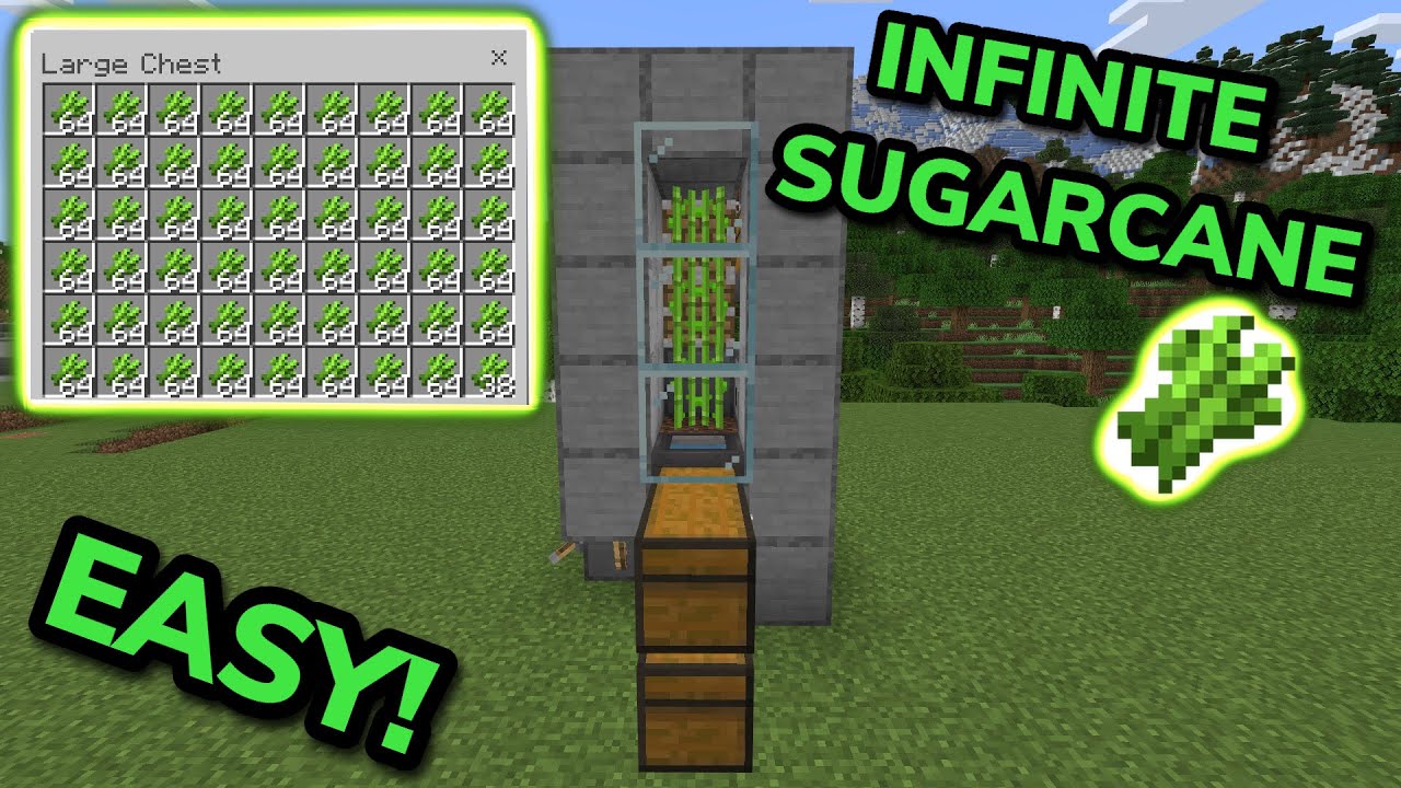 EASIEST FAST AUTOMATIC SUGARCANE FARM TUTORIAL in Minecraft Bedrock (MCPE/Xbox/PS4/Switch/PC)