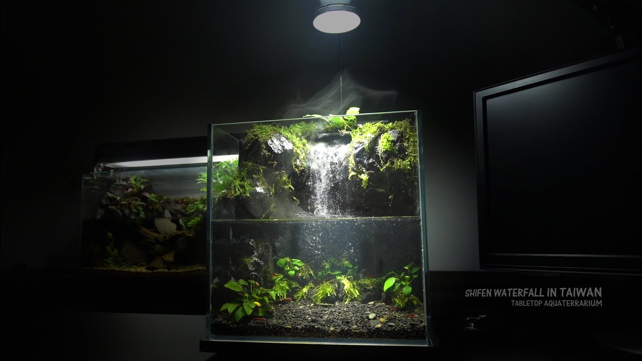 How To Make Amazing Waterfall in Aquaterrarium | Shifen Waterfall Aquascape