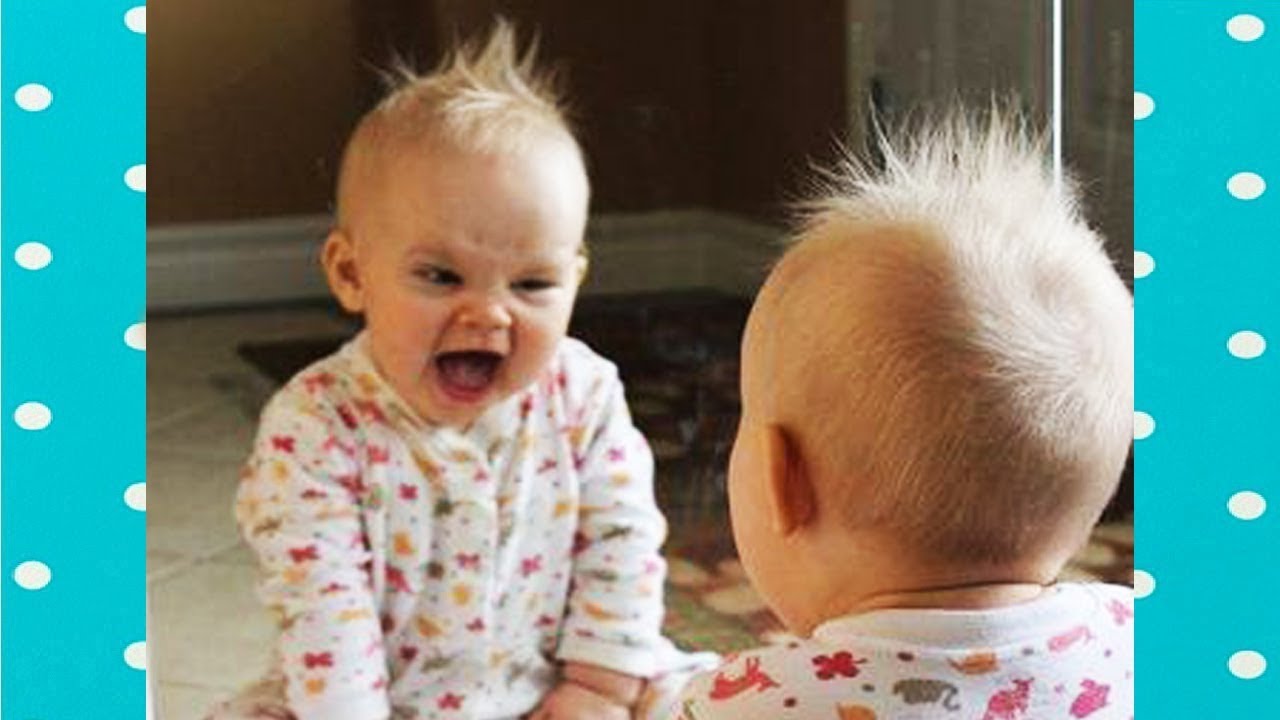 Adorable Babies be Friends With Their Reflection in The Mirror|| Funny Baby and Pet