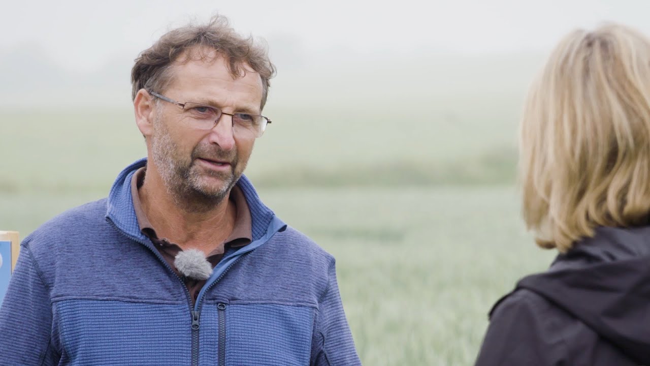 Weizen Saatgut Vermehrung - Interview mit Wilhelm-Josef Schäfer, Vlatten