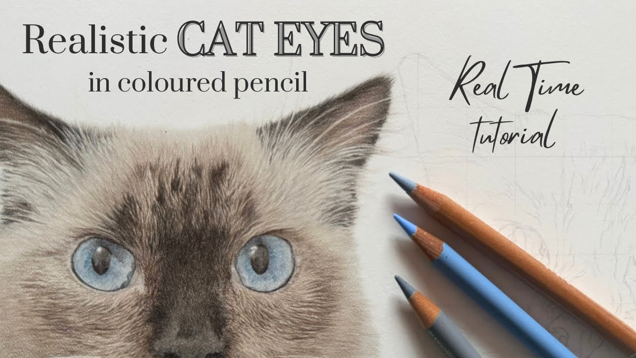 How to Draw Blue Cat Eyes in Coloured Pencil | Real Time Tutorial - Realistic Cat Eye Drawing