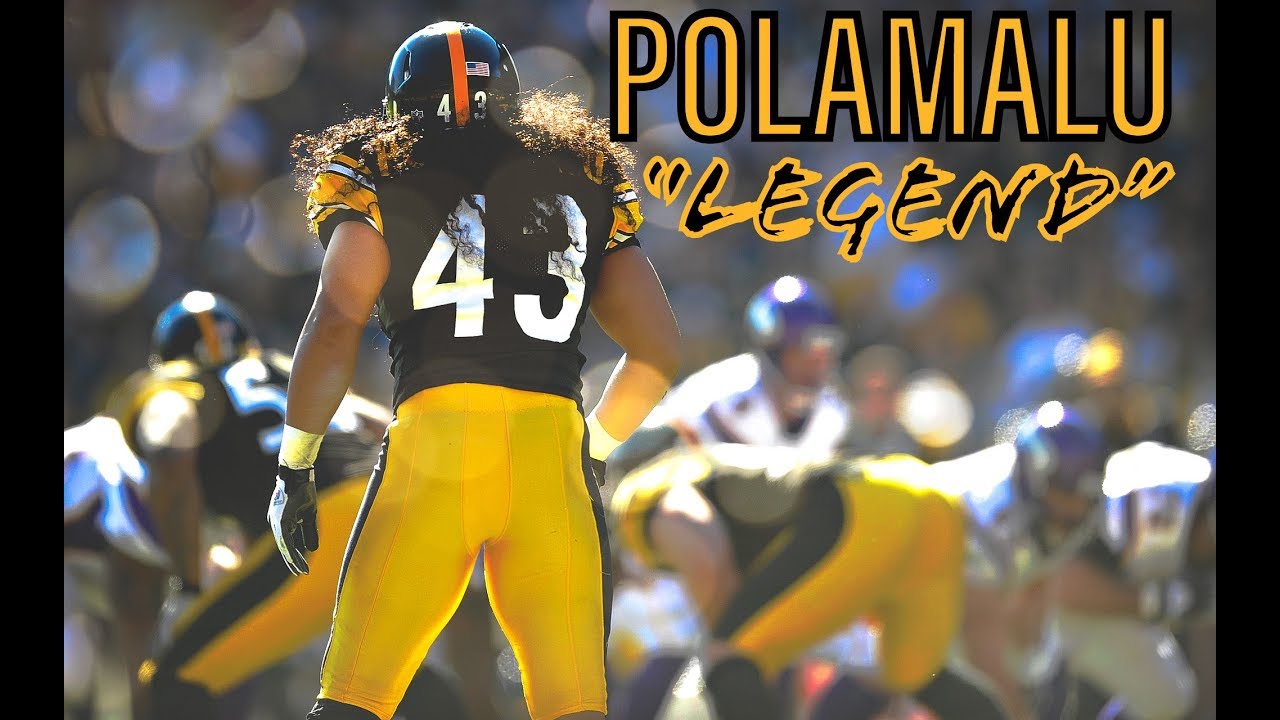 Troy Polamalu Career Highlights || 