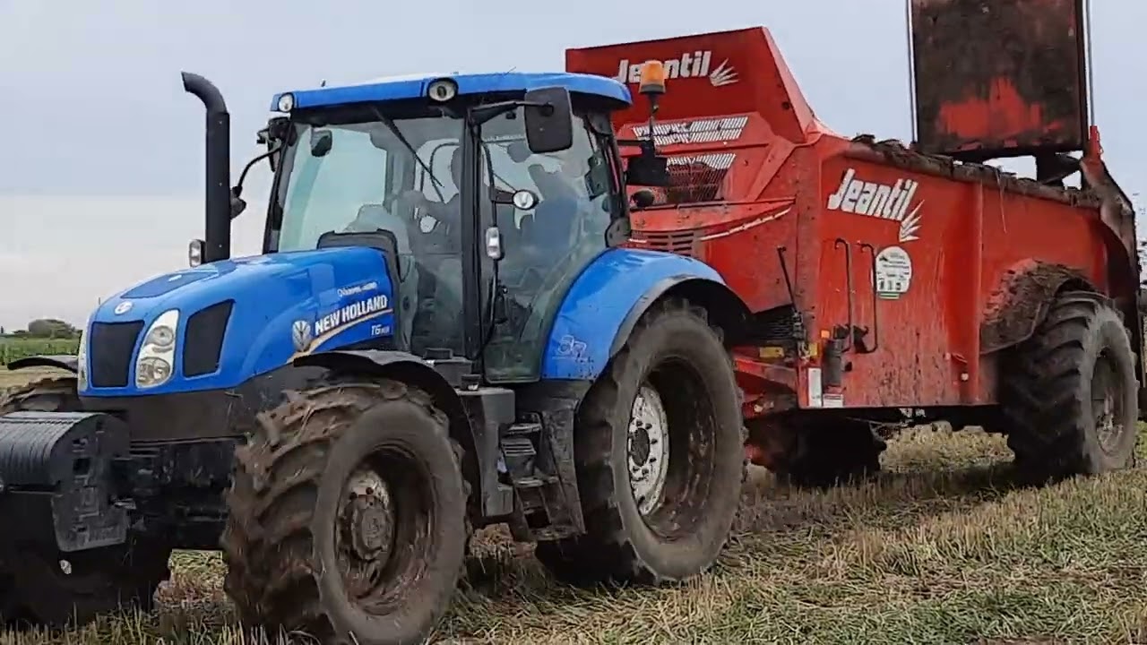 New Holland t6.165 , Jeantil EVR 14-18 , Zetor Forterra 115 wywóz obornika pod siew 2022