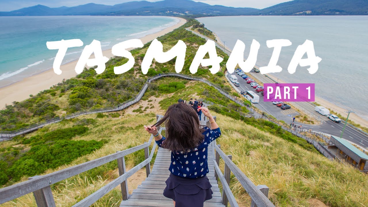 Tasmania Travel Vlog Part 1: Arriving in Tassie + Bruny Island Tour!