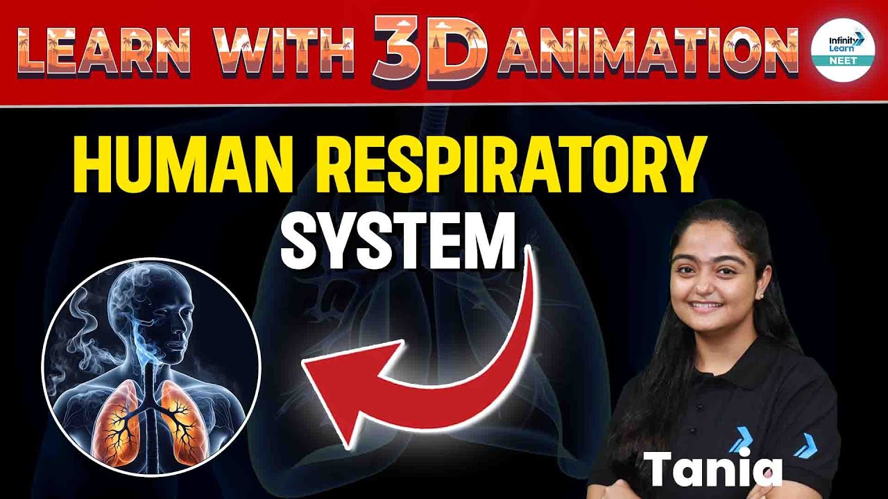 Explore the Human Respiratory System: 3D Animation Explained | NEET 2025 Zoology | Class 11th