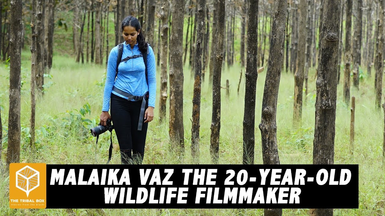 The Adventurous Wildlife Filmmaker and Explorer | Malaika Vaz | The Tribal Box