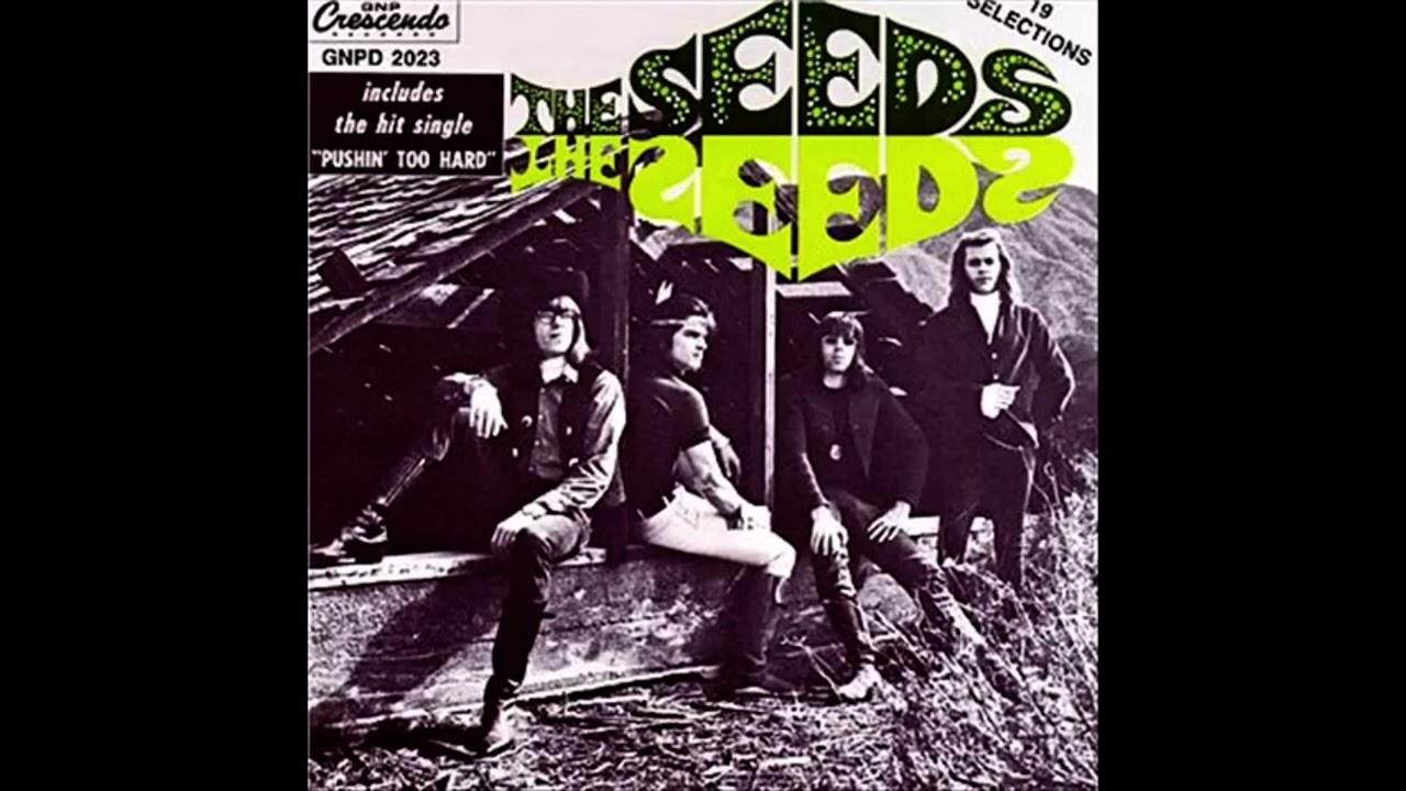 Pushin Too Hard The Seeds