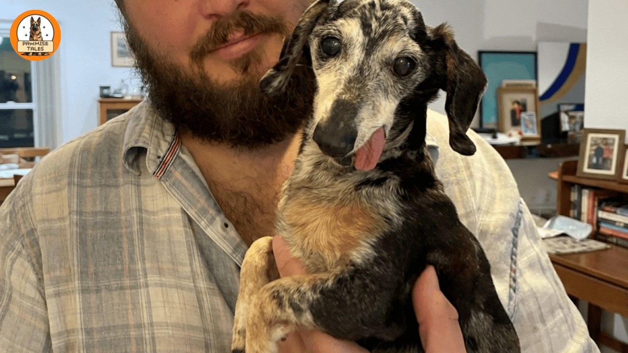 He Was Living Under a Bridge…and He Fell Asleep in My Arms Forever