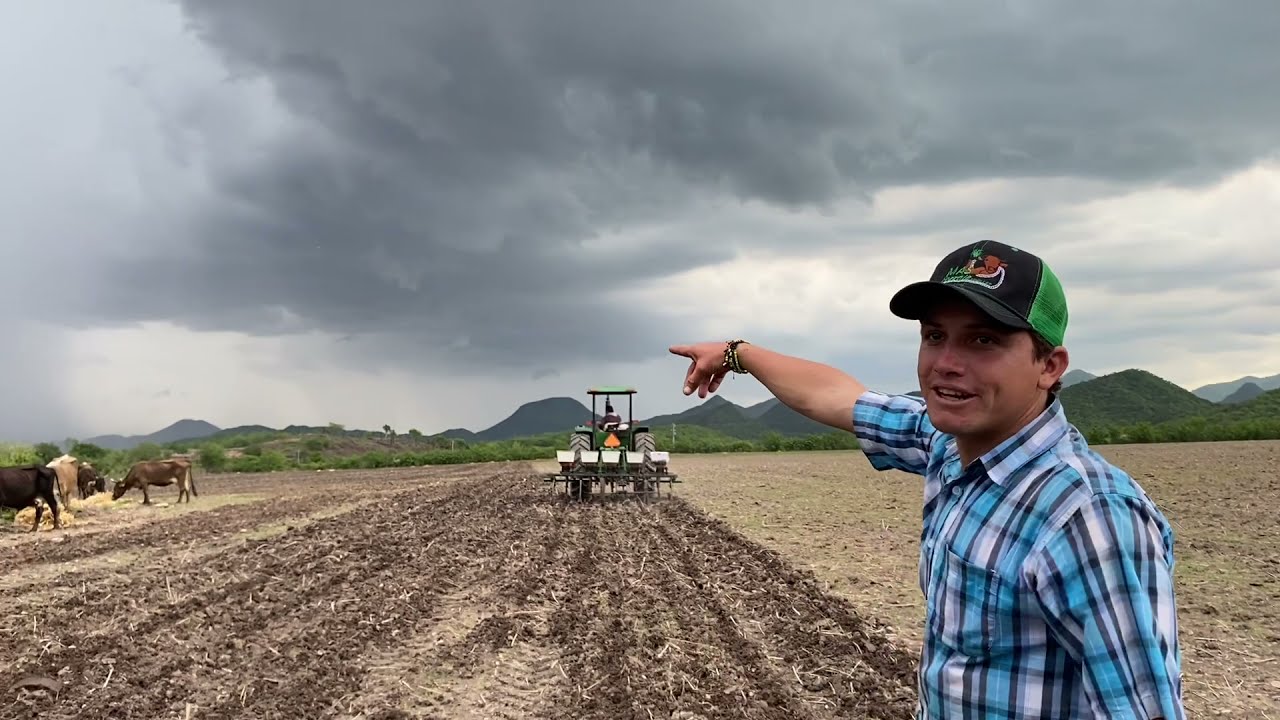 Sembrando sudan para las vacas 🐄🍃🚜,parte #1#ranchero95🐜🐄💯