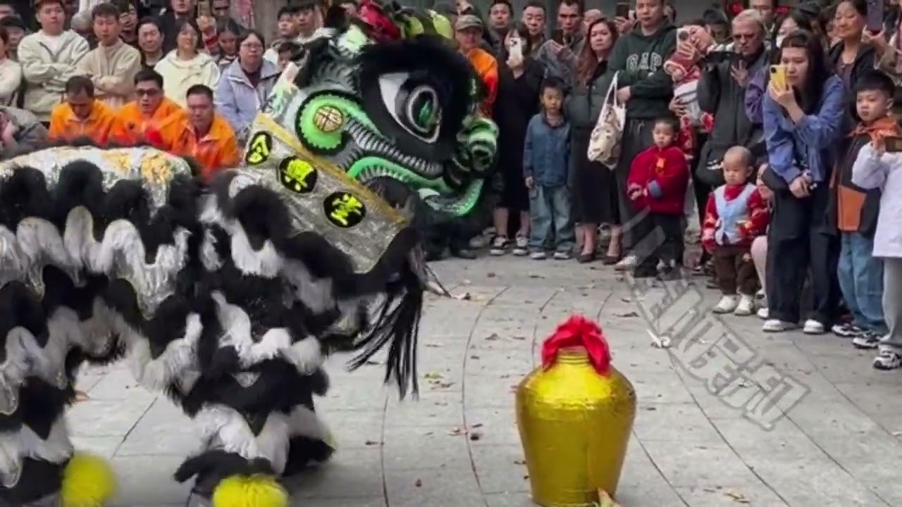 两个女孩舞狮表演太厉害了！谁说女子不如男？