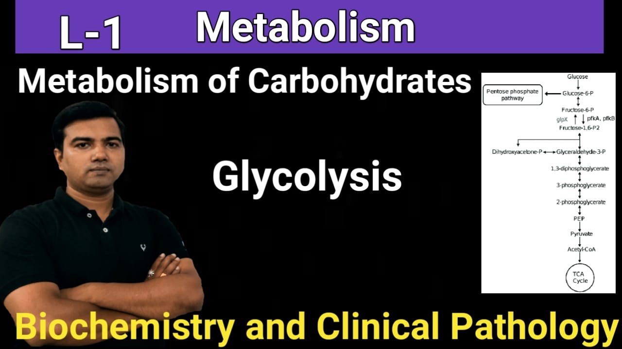 Metabolism (Glycolysis) (L-1)