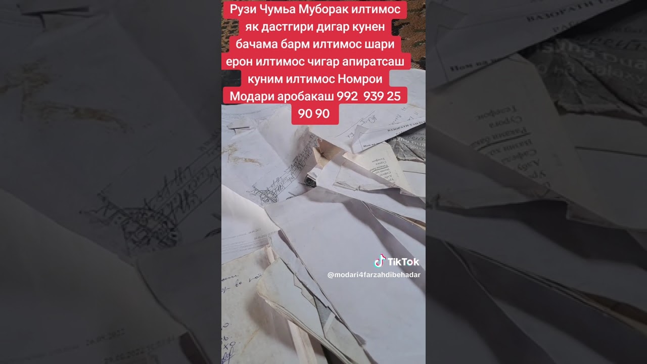 14 марта 2026 г.