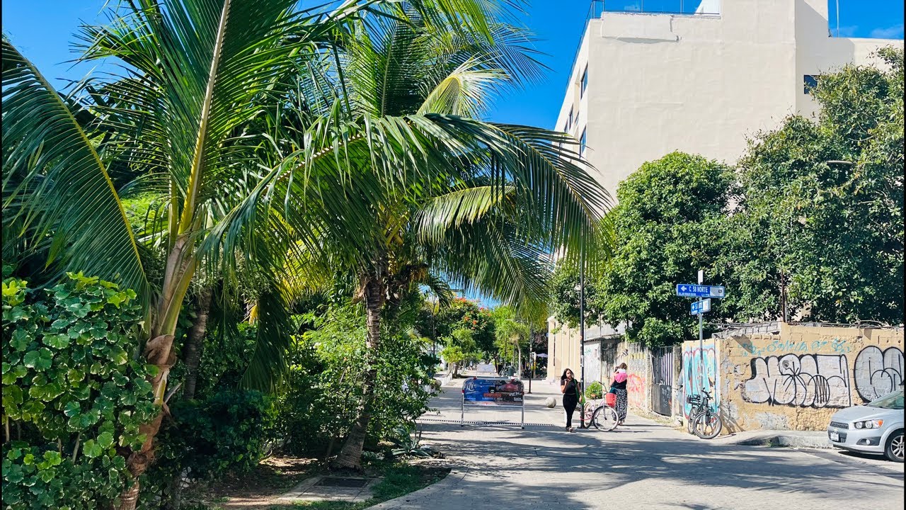 TheRopeMonster is live morning run on 5th Ave in Playa Del Carmen México 🇲🇽