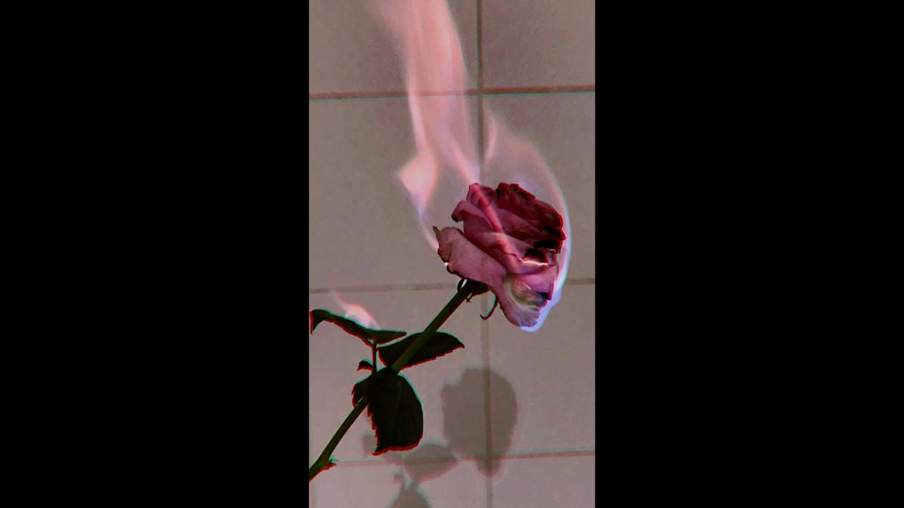 [FREE] iann dior x juice wrld type beat 2020 - ''aint shit'' (prod. soven + noir1070)