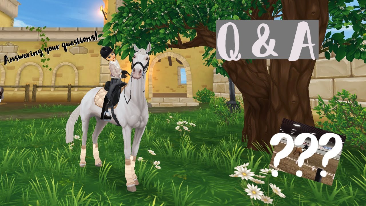 Q&A! | Answering Your Questions! | Ashley Eventing