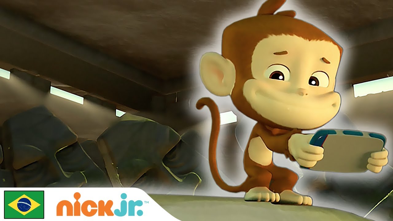 Patrulha Canina | 🐒 O problema dos filhotes na selva 🐒 | Nick Jr. em Português
