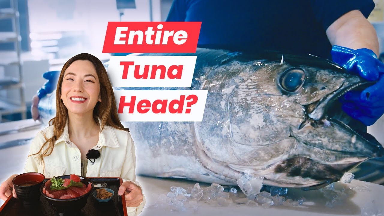 Kingdom of Raw Tuna: Japanese Fishing Village Nachikatsuura