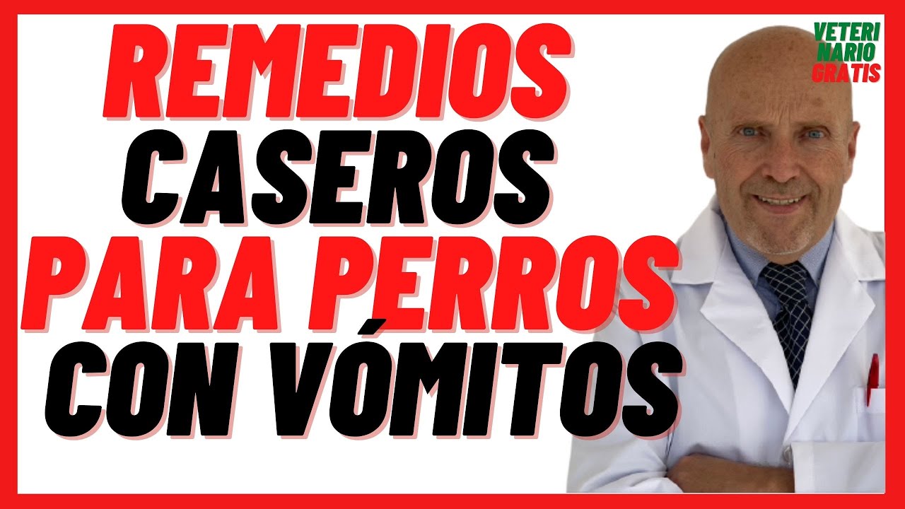 🔴  Remedios Caseros y Naturales para perros con vómitos  🔴¿Cómo curar el vómito en perros?