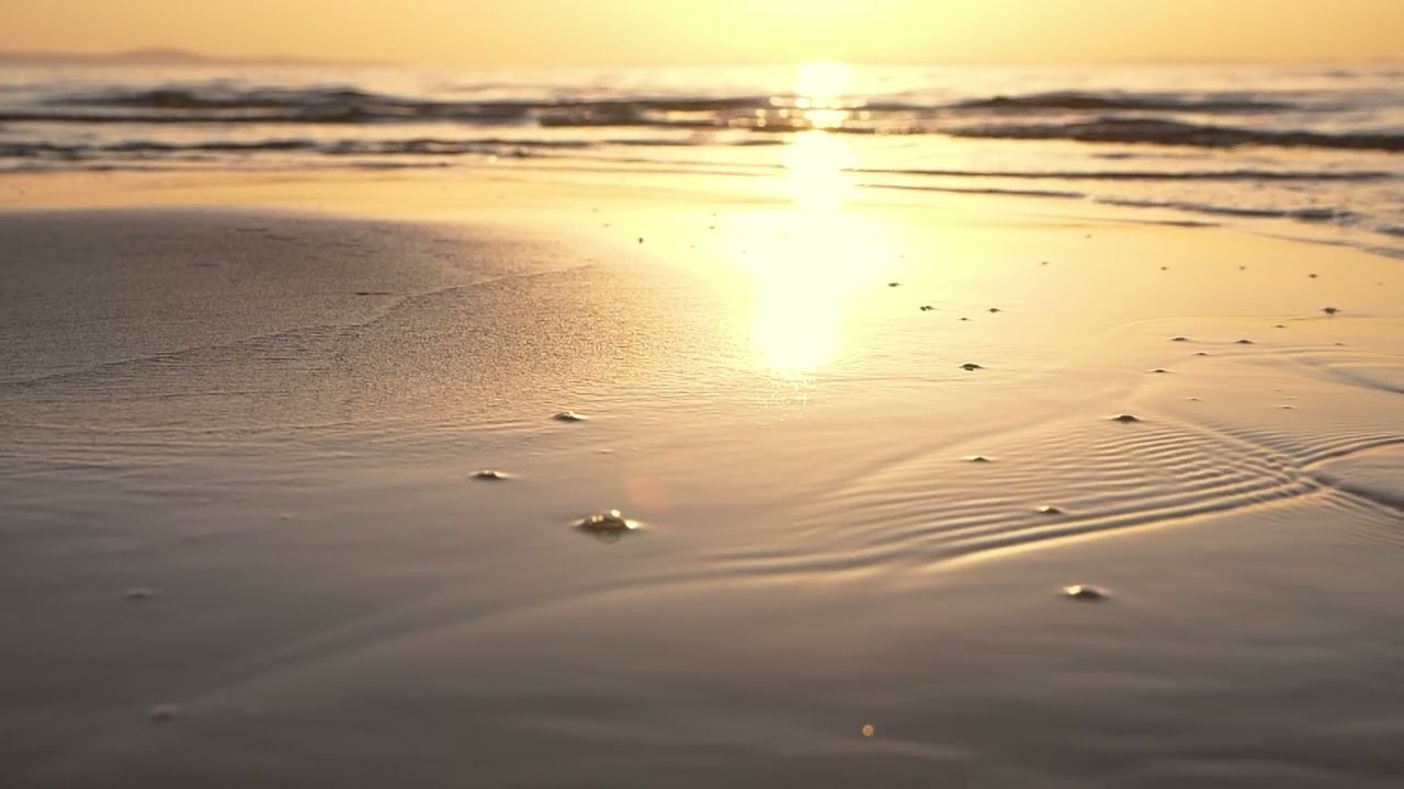 Golden sand beach, reveal shot | Free stock footage