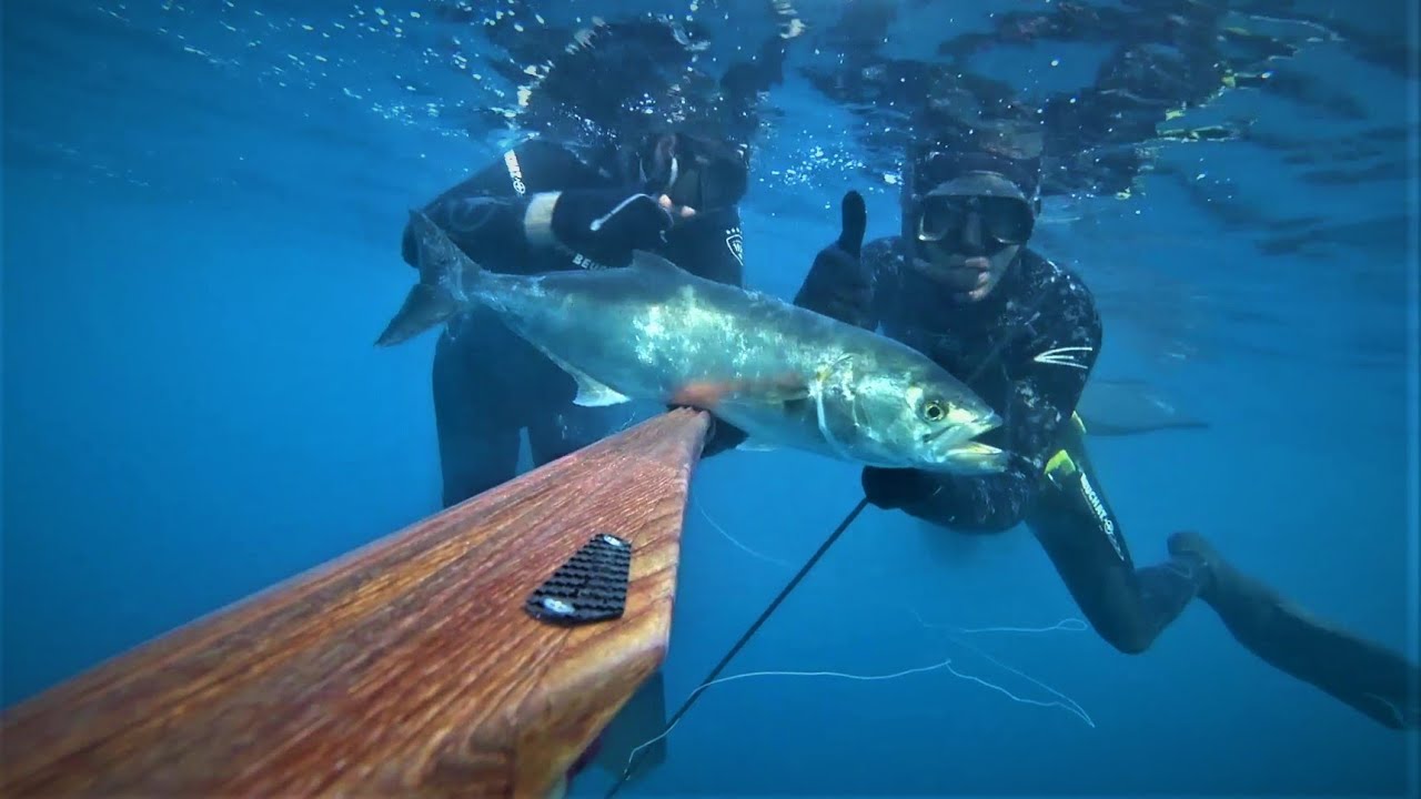 Pesca submarina a la espera:  Anjova , Lecha y Espetón. En aguas del Mediterráneo (Murcia)