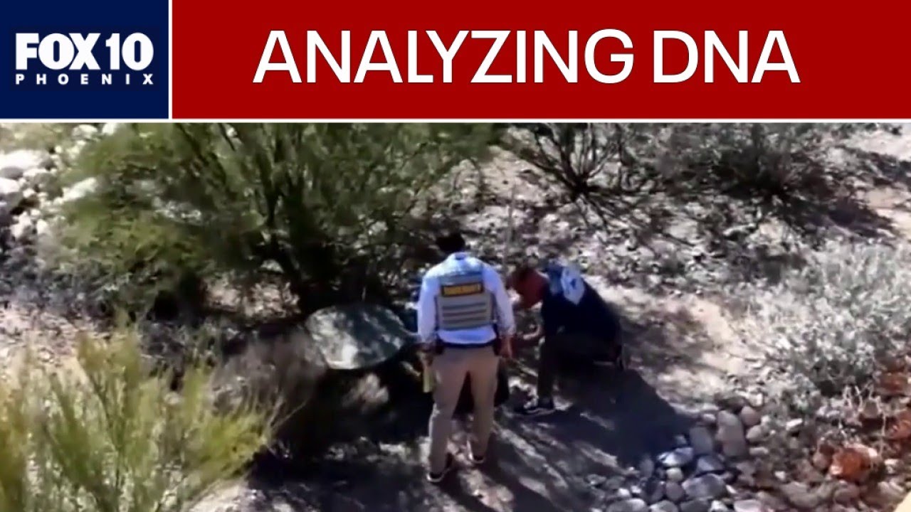 Nancy Guthrie: Biological evidence found at home | FOX 10 Phoenix