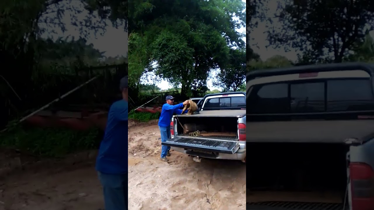 A balsa estava mesmo estragada..