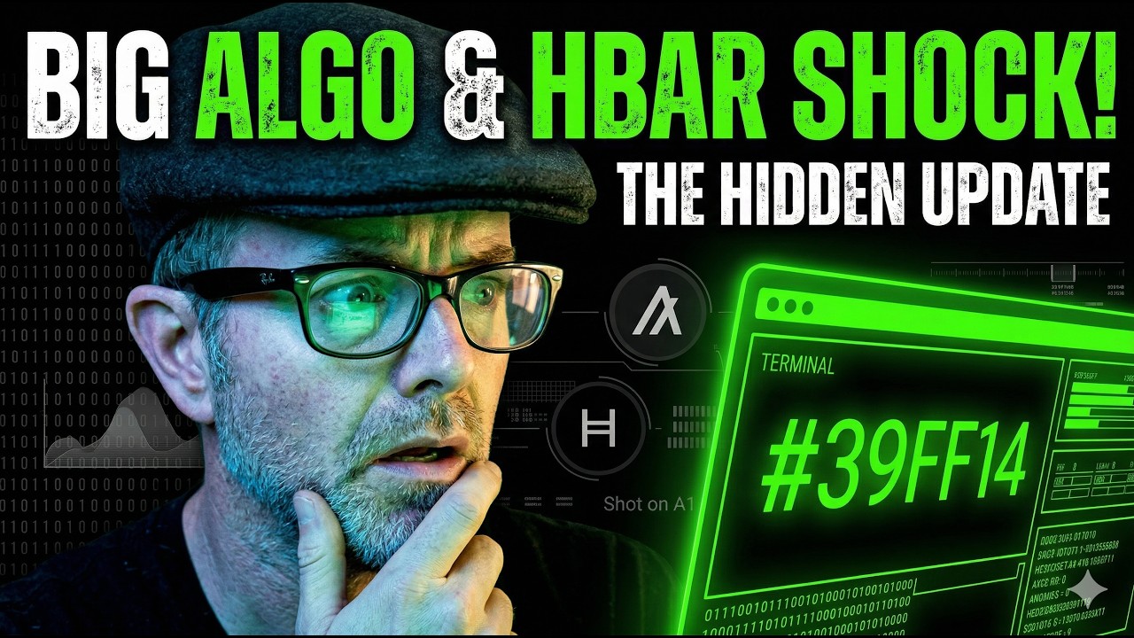Секрет ALGO и HBAR, который никто не видит.