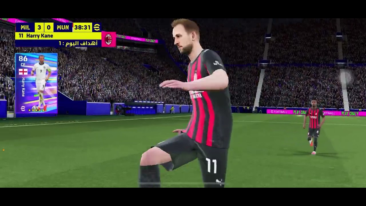 12 شباط، 2026