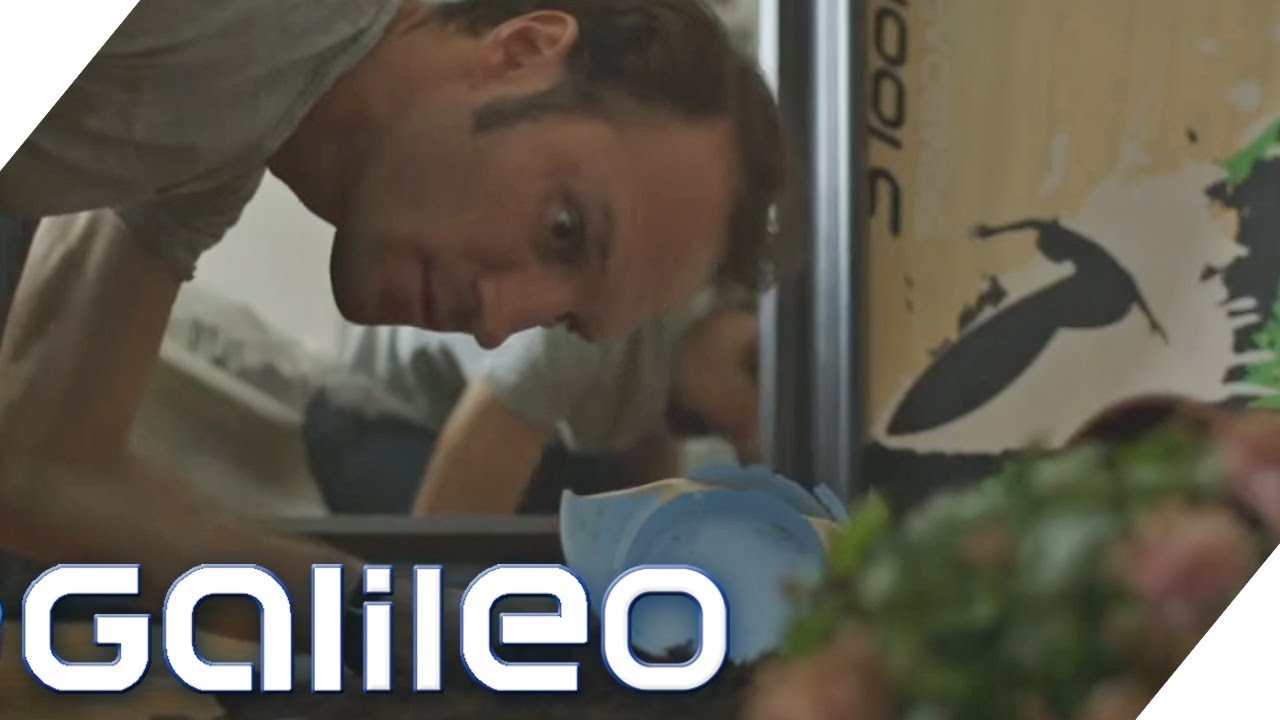 Detektiv zuhause: Spurensuche mithilfe von Haushaltsmitteln | Galileo | ProSieben