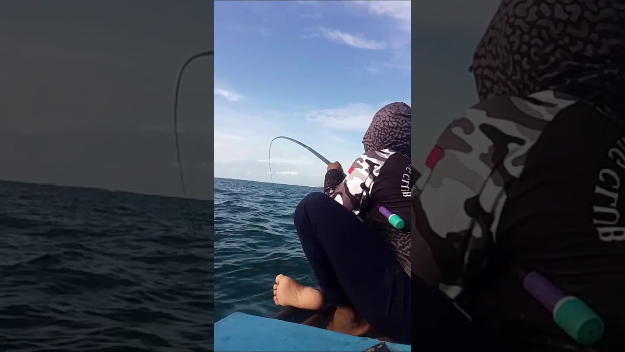 Mantap benar tarikan ikan baronang guys...!