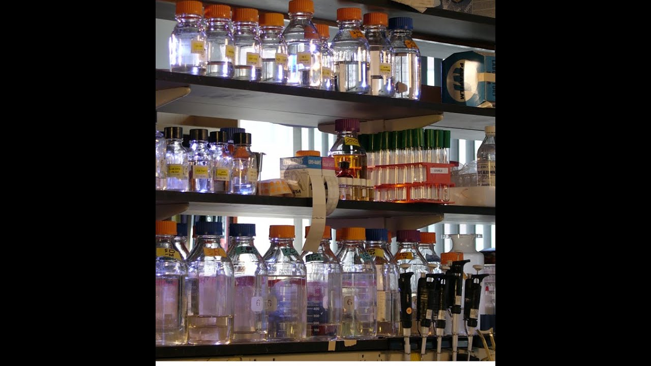 MIT Graduate Program in Science Writing Live Stream